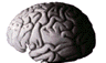 BrainCom icon